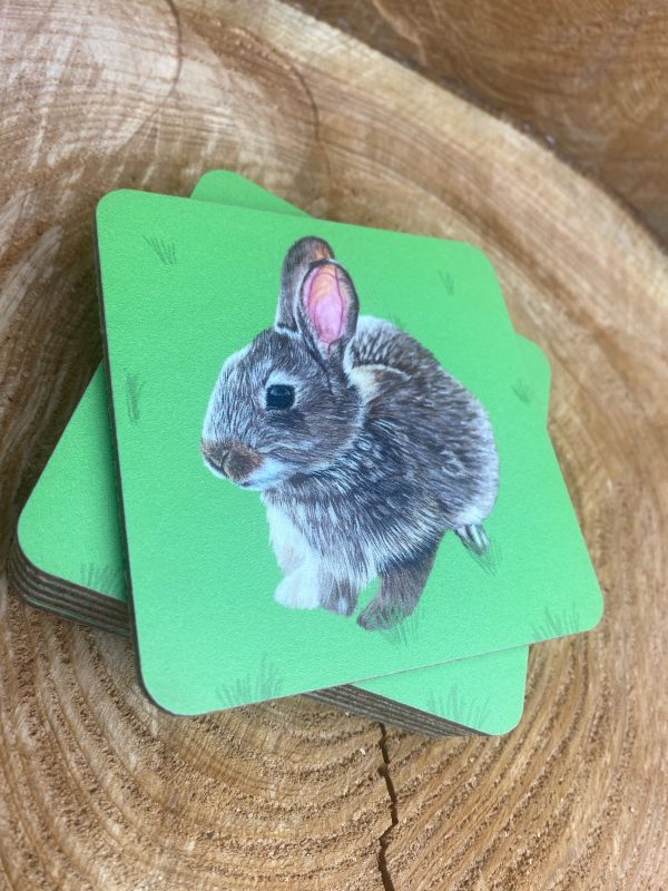 ‘Wild rabbit’ coaster